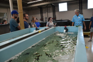 Students stand around a large, open tank of juvenile fish listening to a man give a presentation.