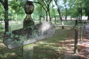 Closeup photo of an old, lichen-covered wooden sign with trees in the background.