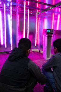 two middle schoolers sitting in front of pink lights