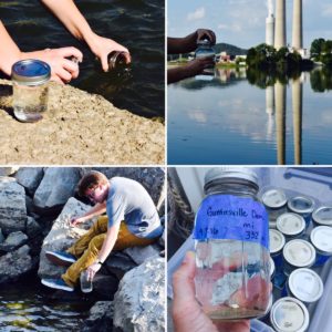 A collage of four images showing the process of testing water quality