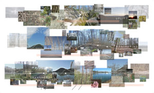 A collage of renderings of environmental and landscape elements.