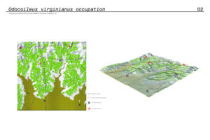 Student rendering of landscape design