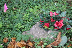 Headstone among grass and red roses