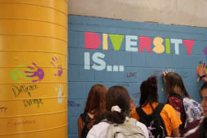 diversity is...differences and dialogue