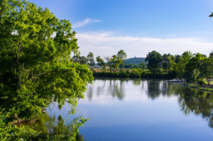serene view of glassy lake