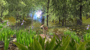 digital image of understory of a forest