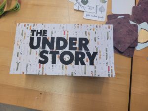Box with name of game "Under Story"