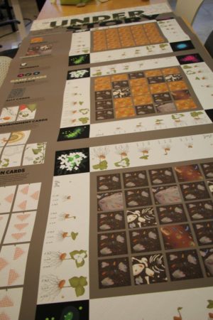 large poster showing board game
