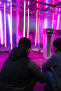 students play with lights and sound