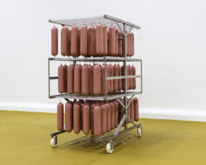 image of a cart with hot dogs on it