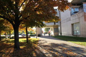 fall trees and a building with sidewalk