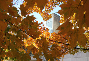 a building showing thorough fall leaves