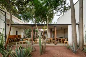 Criollo, a restaurant in Oaxaca City, designed by JSa. Photo by Rafael Gamo.